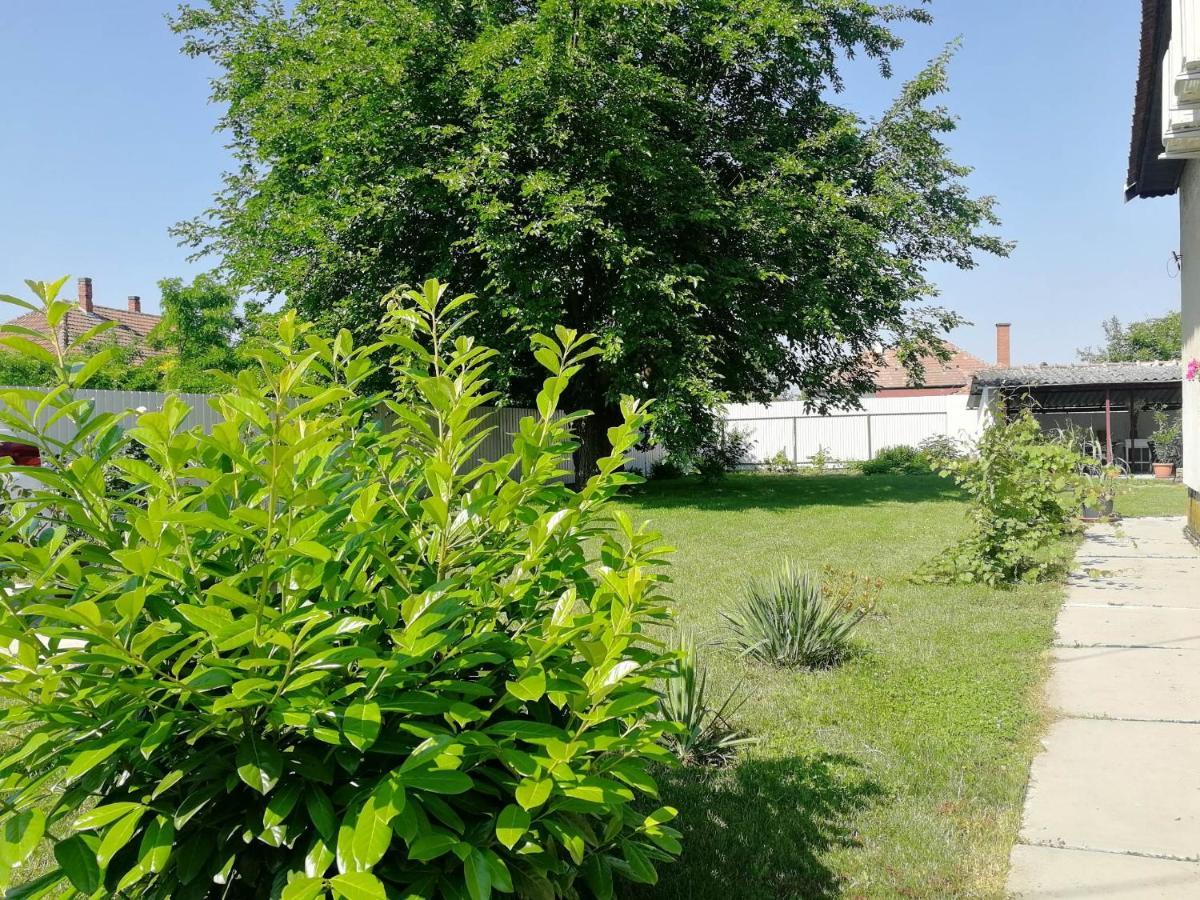 Zsuzsanna Vendeghaz Hotel Gyomaendrod Luaran gambar